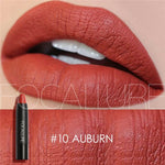 FOCALLURE Waterproof Matte Makeup Lipstick